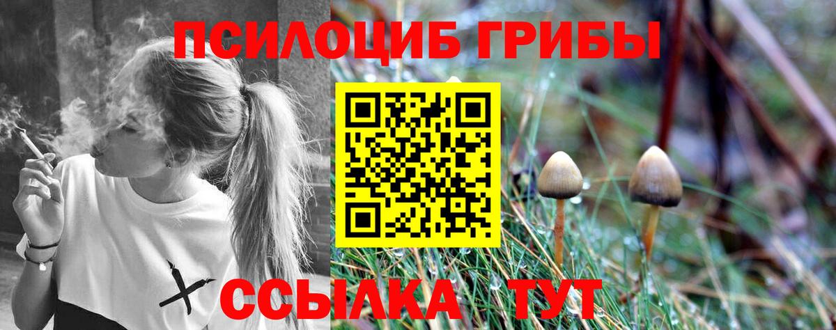 Галлюциногенные грибы Cubensis  Вход с VPN  Алексин 